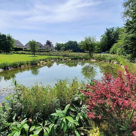 Splendid Villa In Sart Jalhay With Swimming Pool 尼维兹 外观 照片